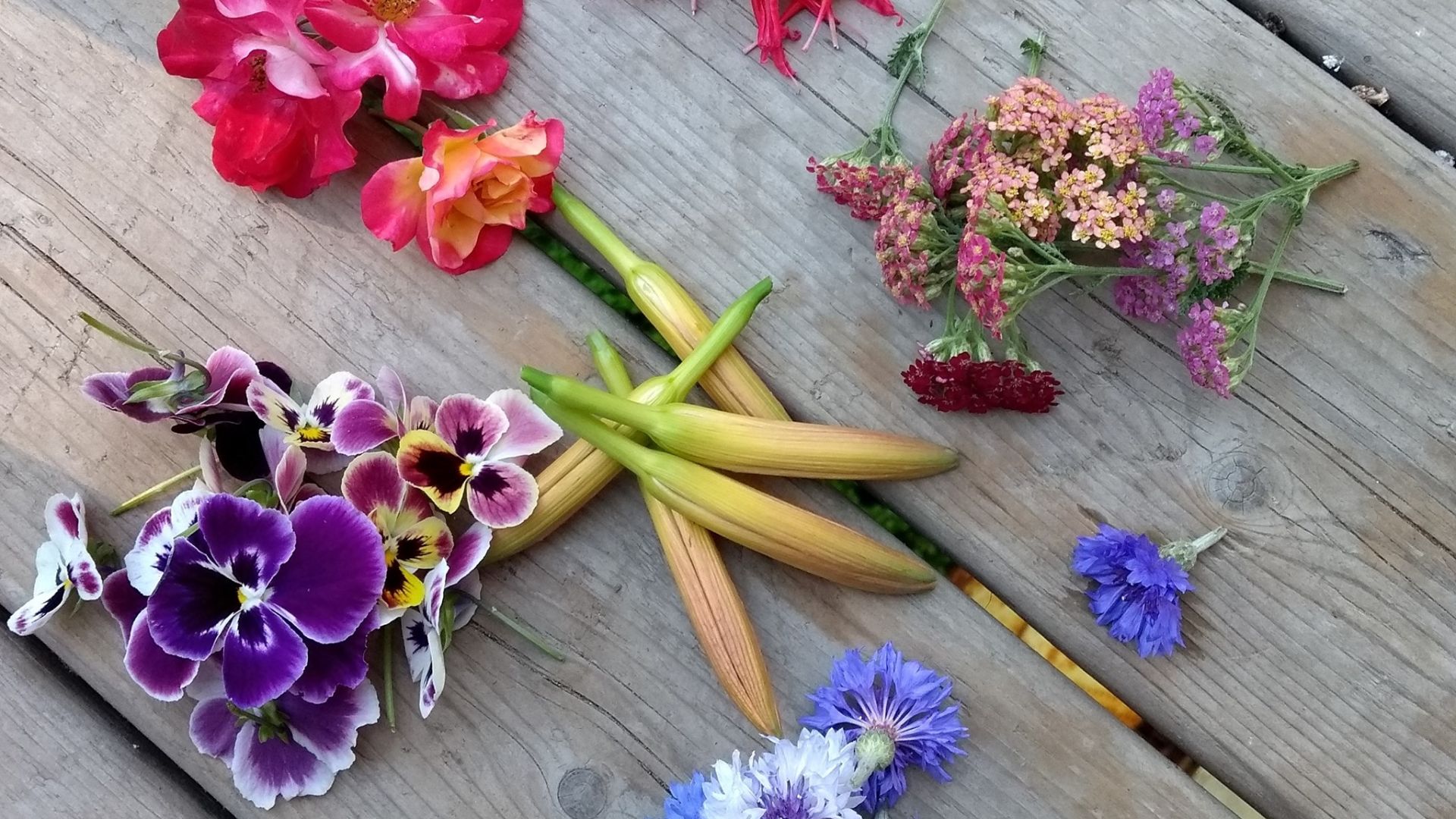 File:Edible flowers.jpg