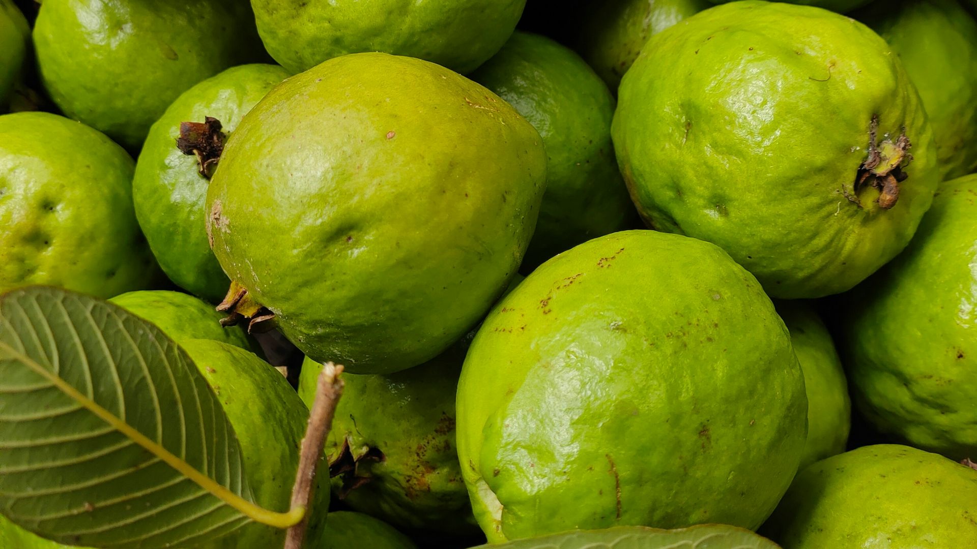 a pile of green fruit sitting on top of a wooden table