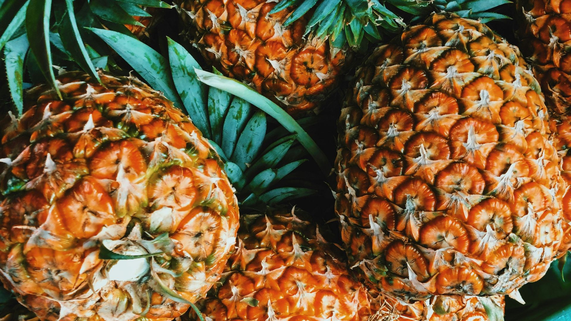 pineapple fruit