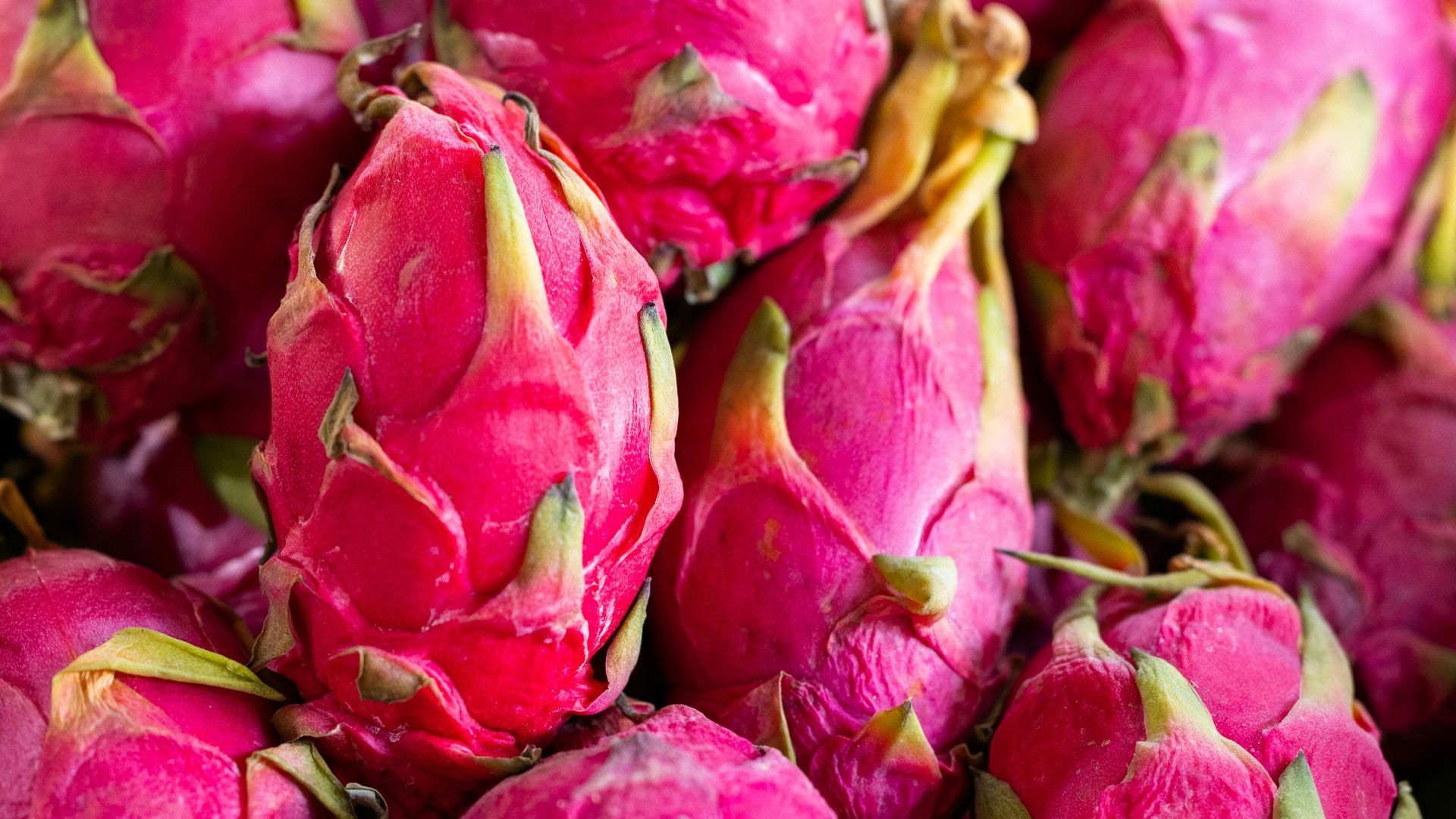 a pile of pink dragon fruit sitting on top of a table