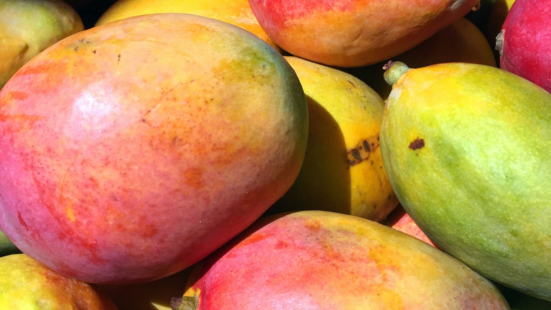 red and yellow round fruits