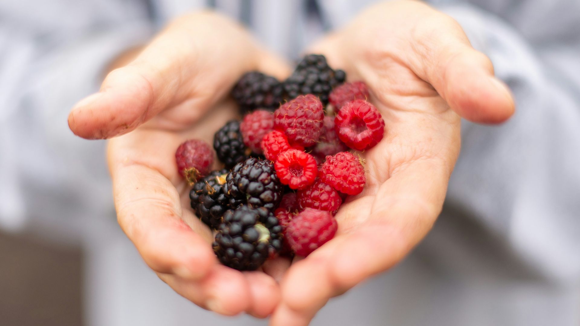 person holding black and red berries