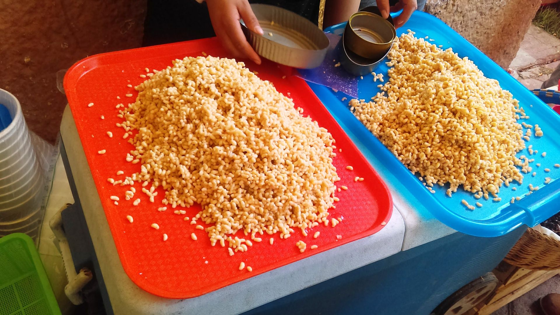 File:Escamoles en Actopan, Hidalgo. 01.jpg