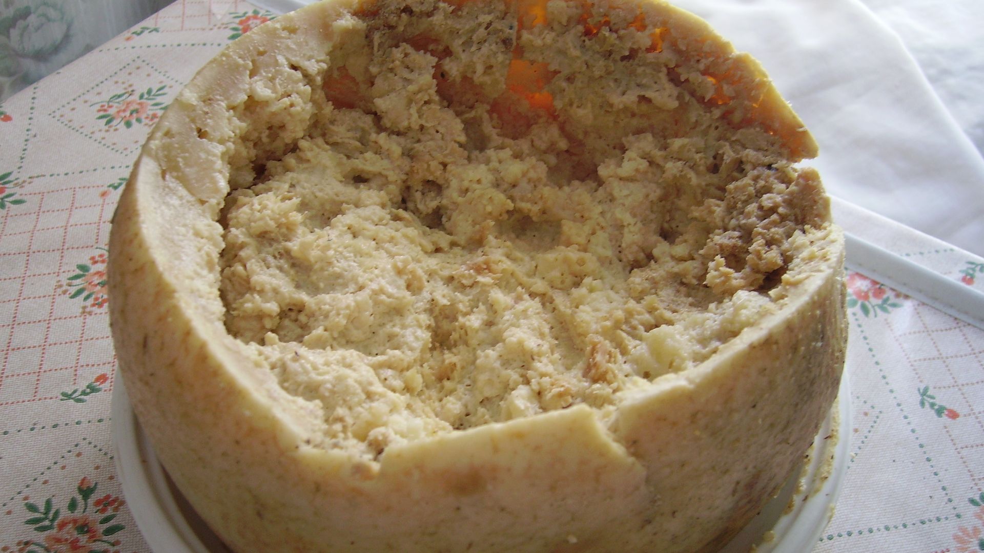 File:Casu Marzu cheese.jpg