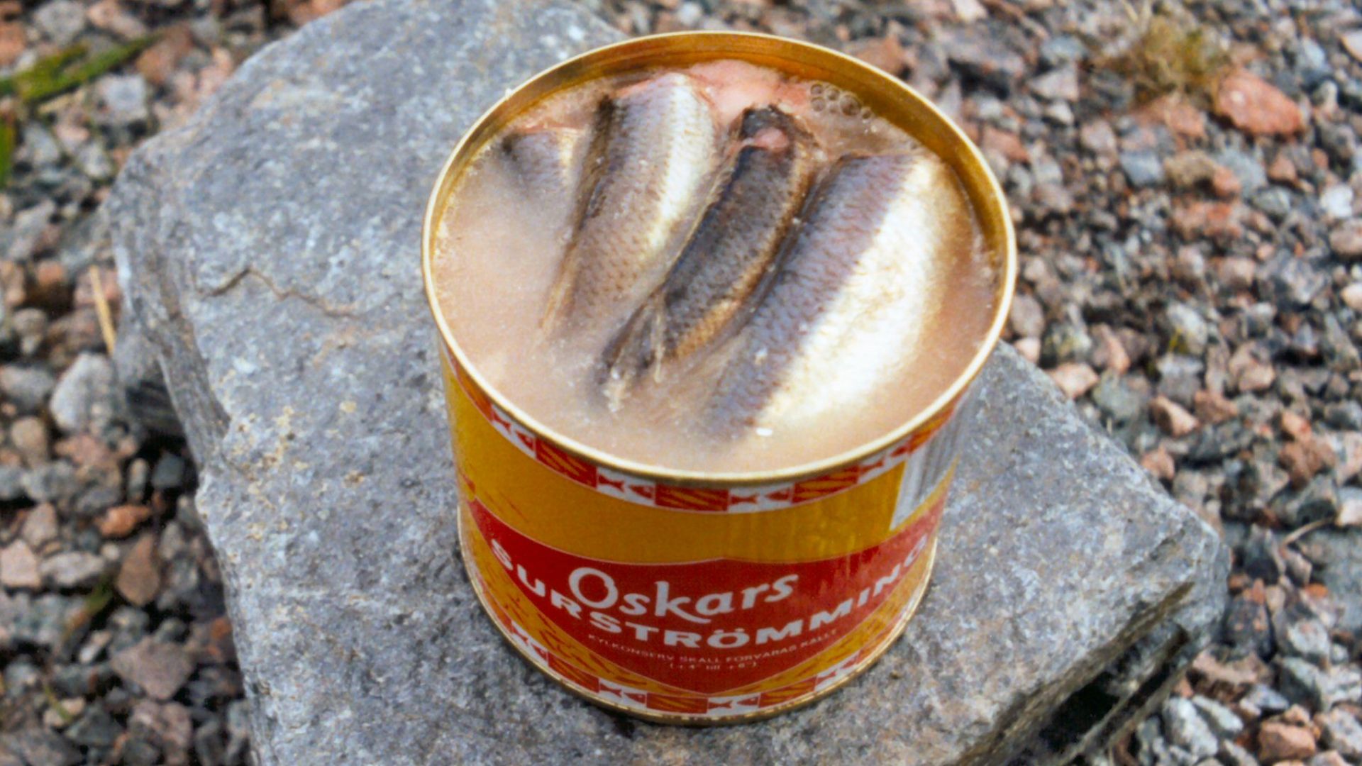 File:Surströmming.jpg
