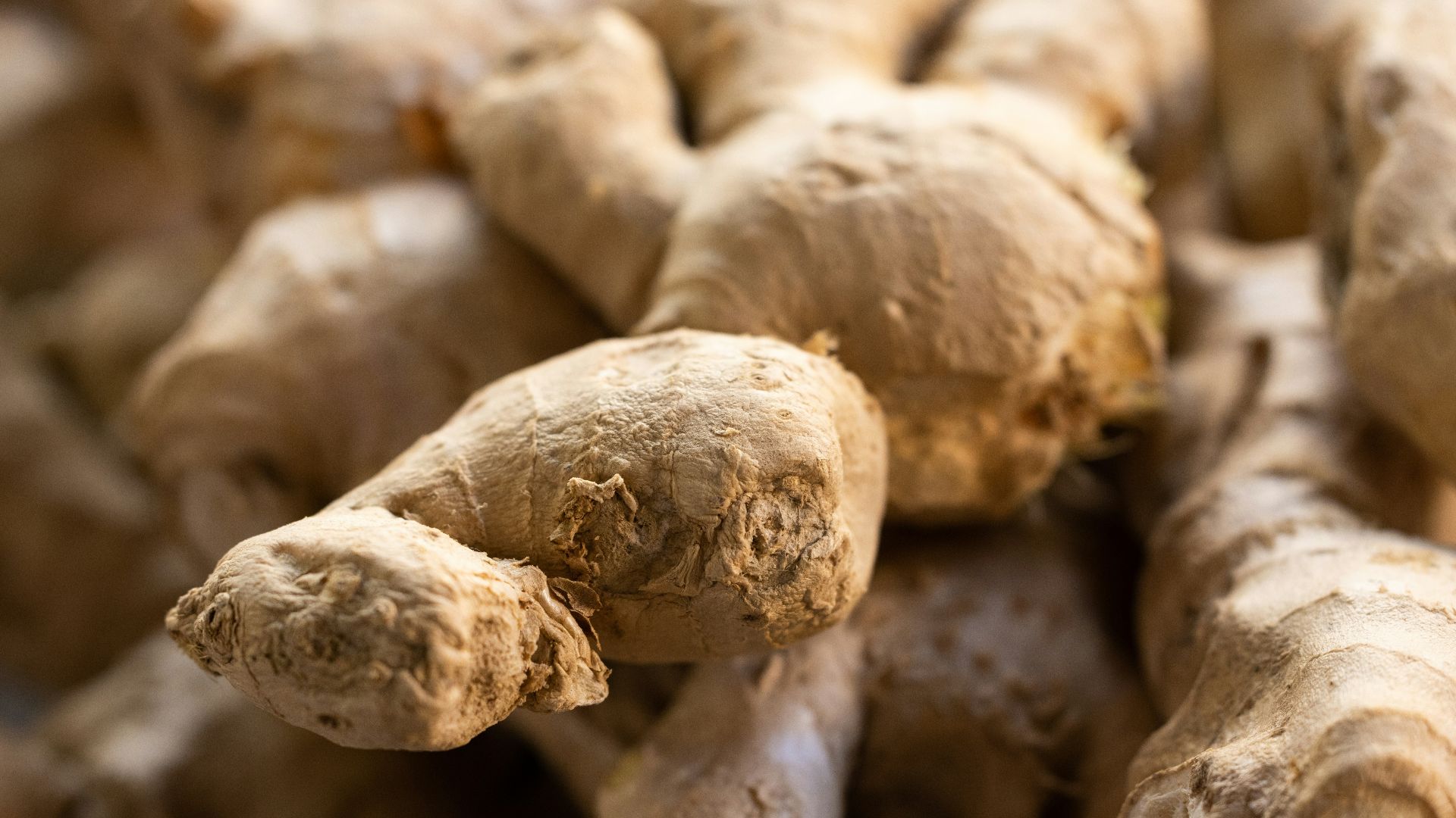 a close up of a bunch of ginger roots