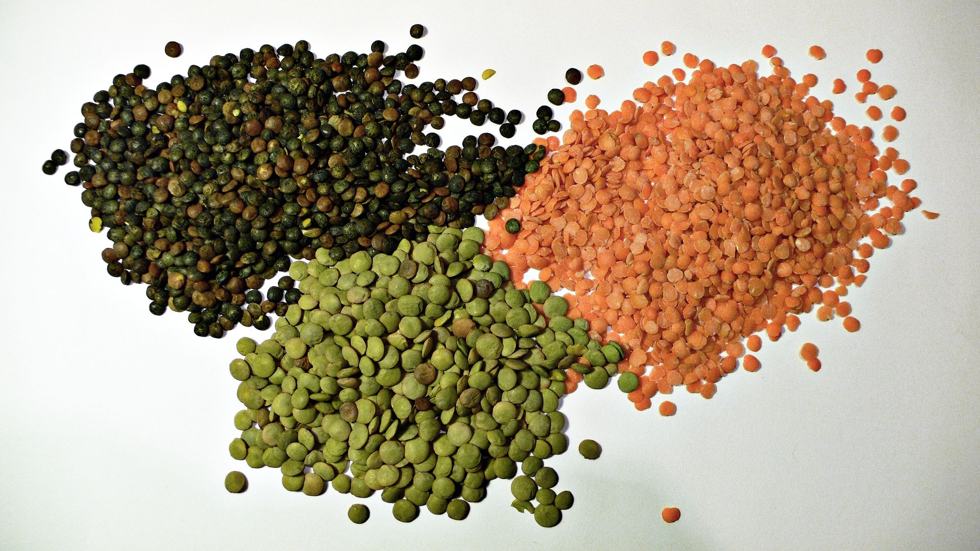 File:3 types of lentil.jpg