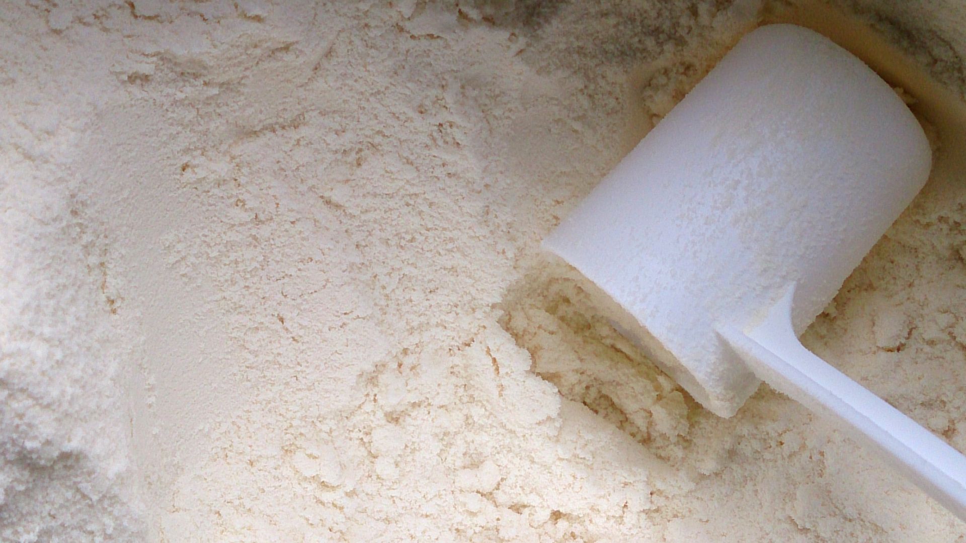 File:Milk powder cropped.jpg