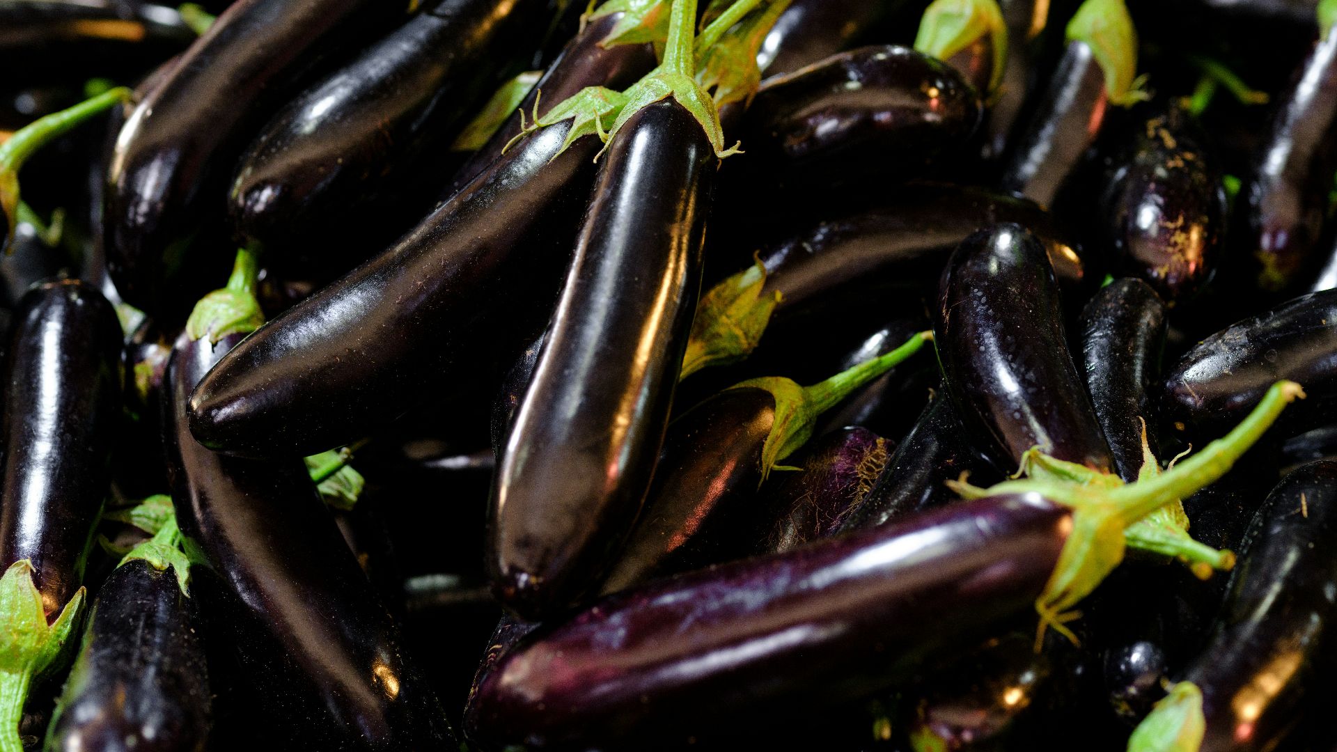 a pile of purple eggplant with green stems