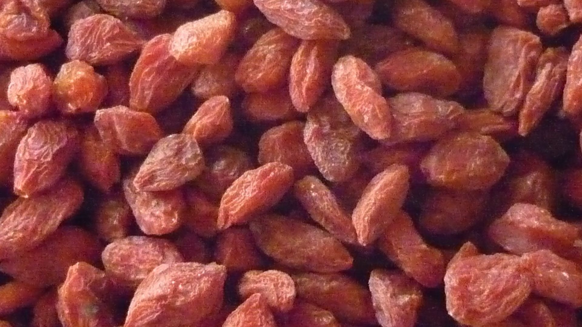 File:Goji bessen.JPG
