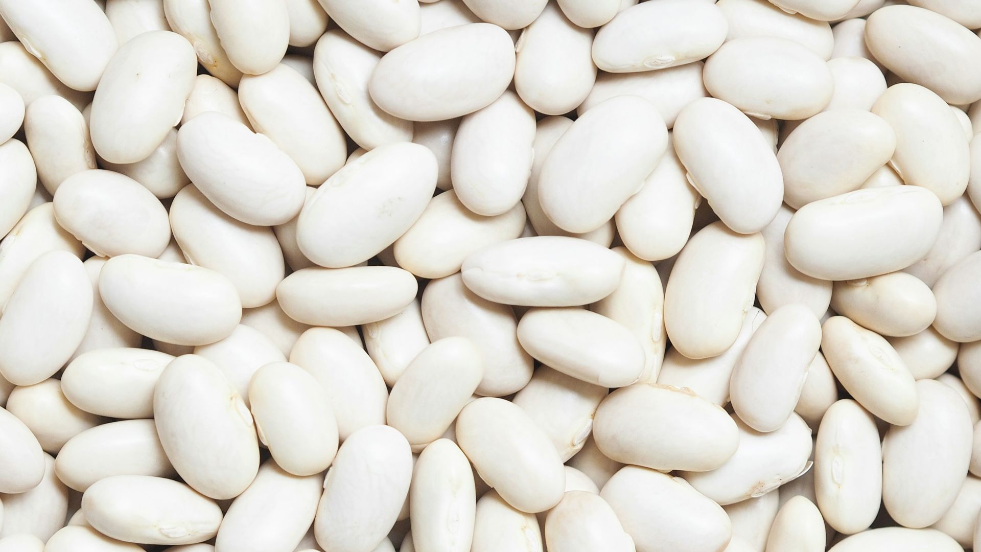 white beans on white background