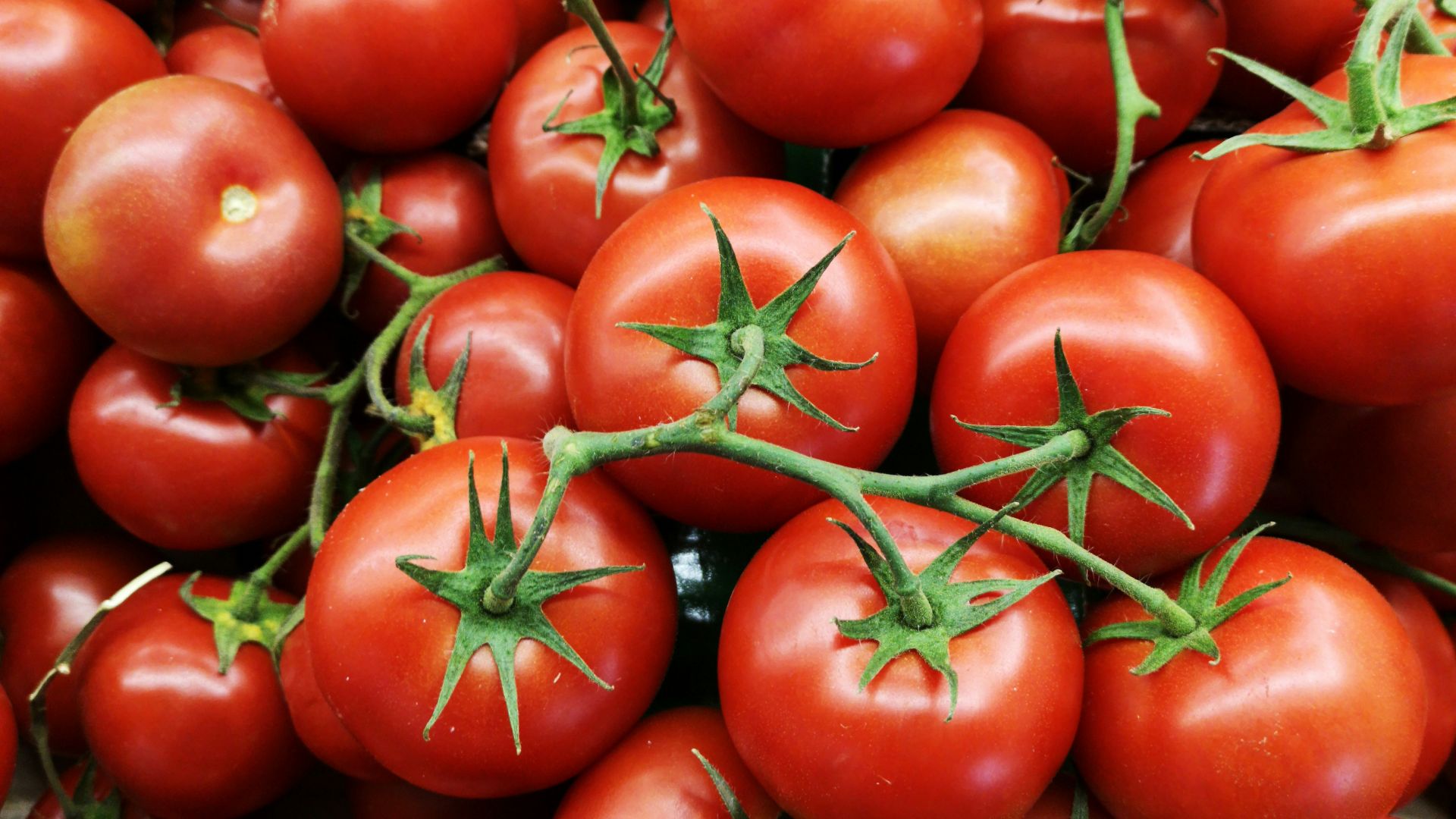 red tomatoes on brown wooden table