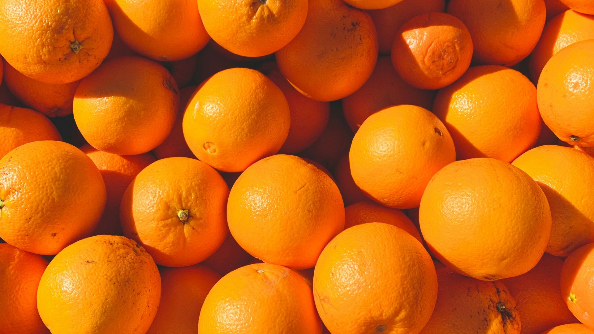 orange fruits on white ceramic plate