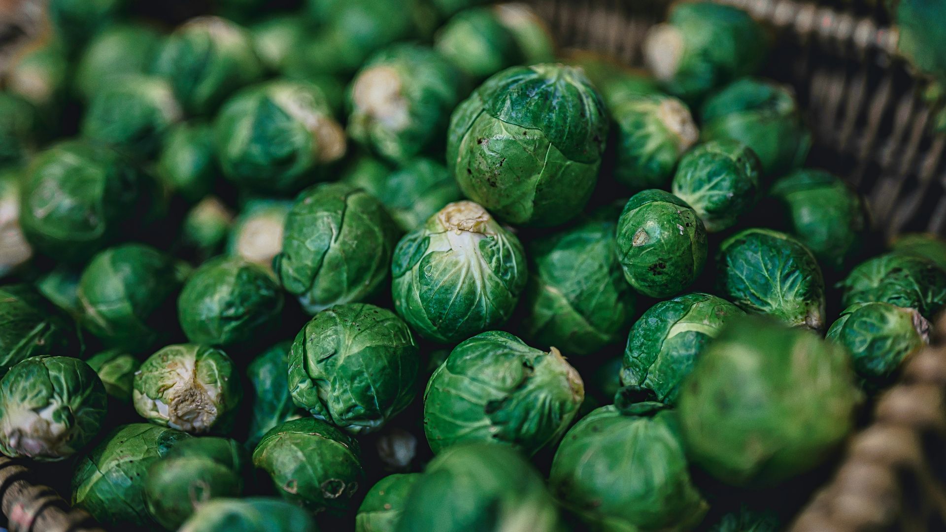 green leaves on brown woven basket