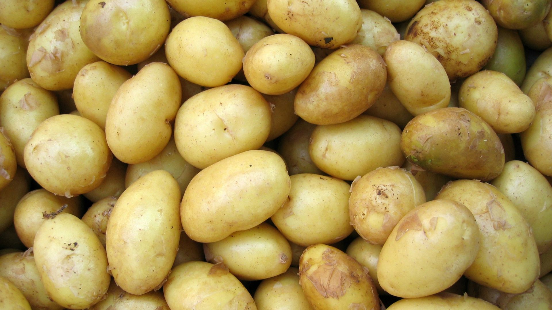 potatoes