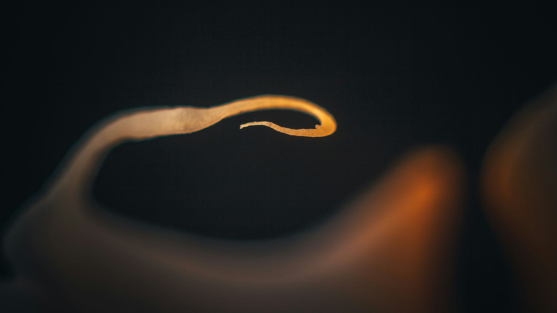 white light in dark room