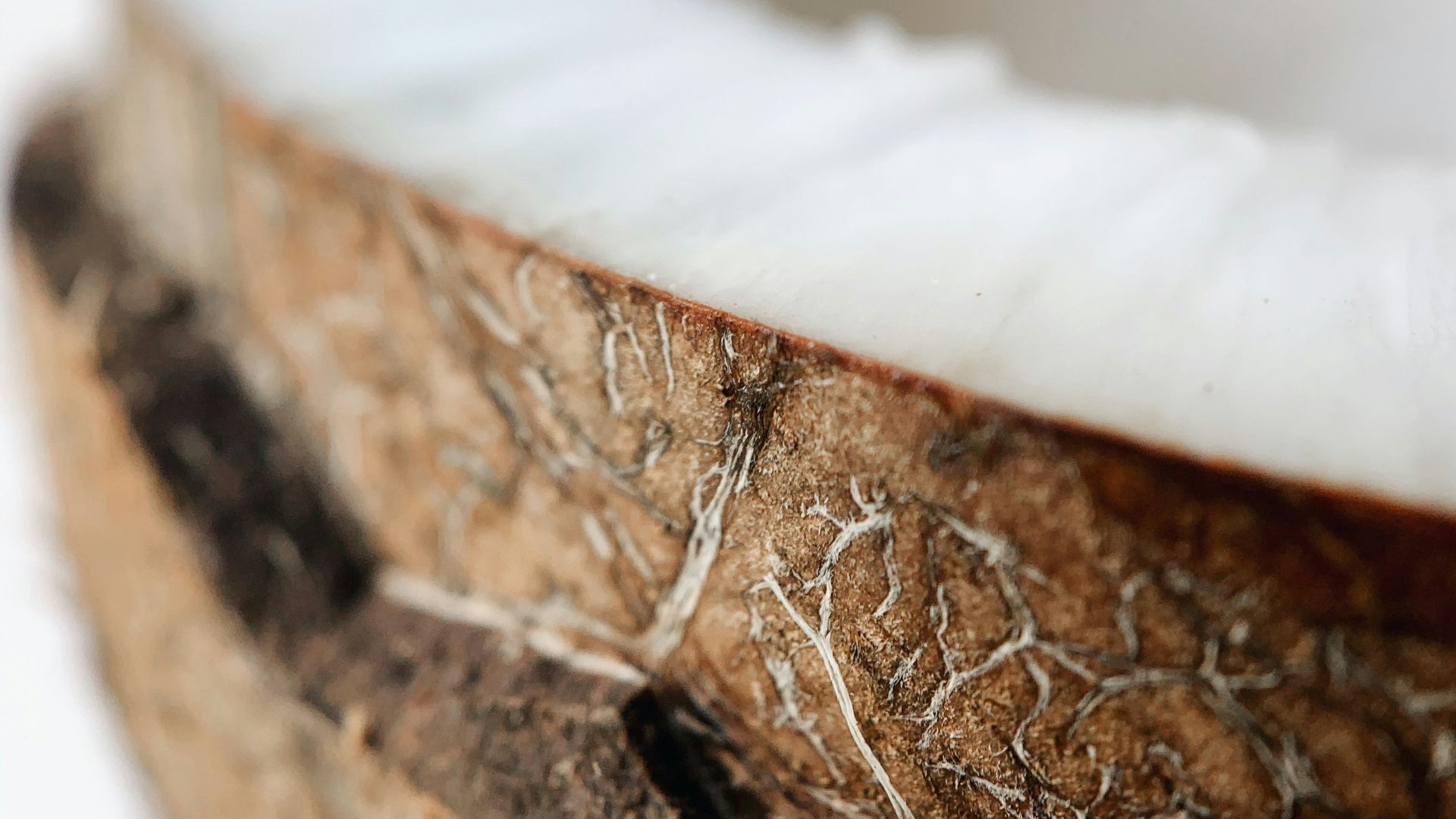 white powder on brown wooden surface