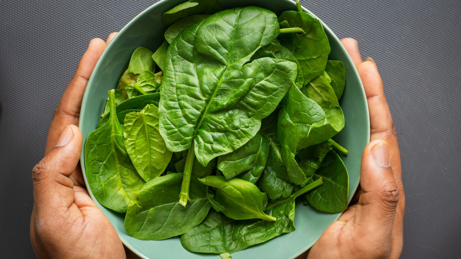 green leaves on blue plastic bowl