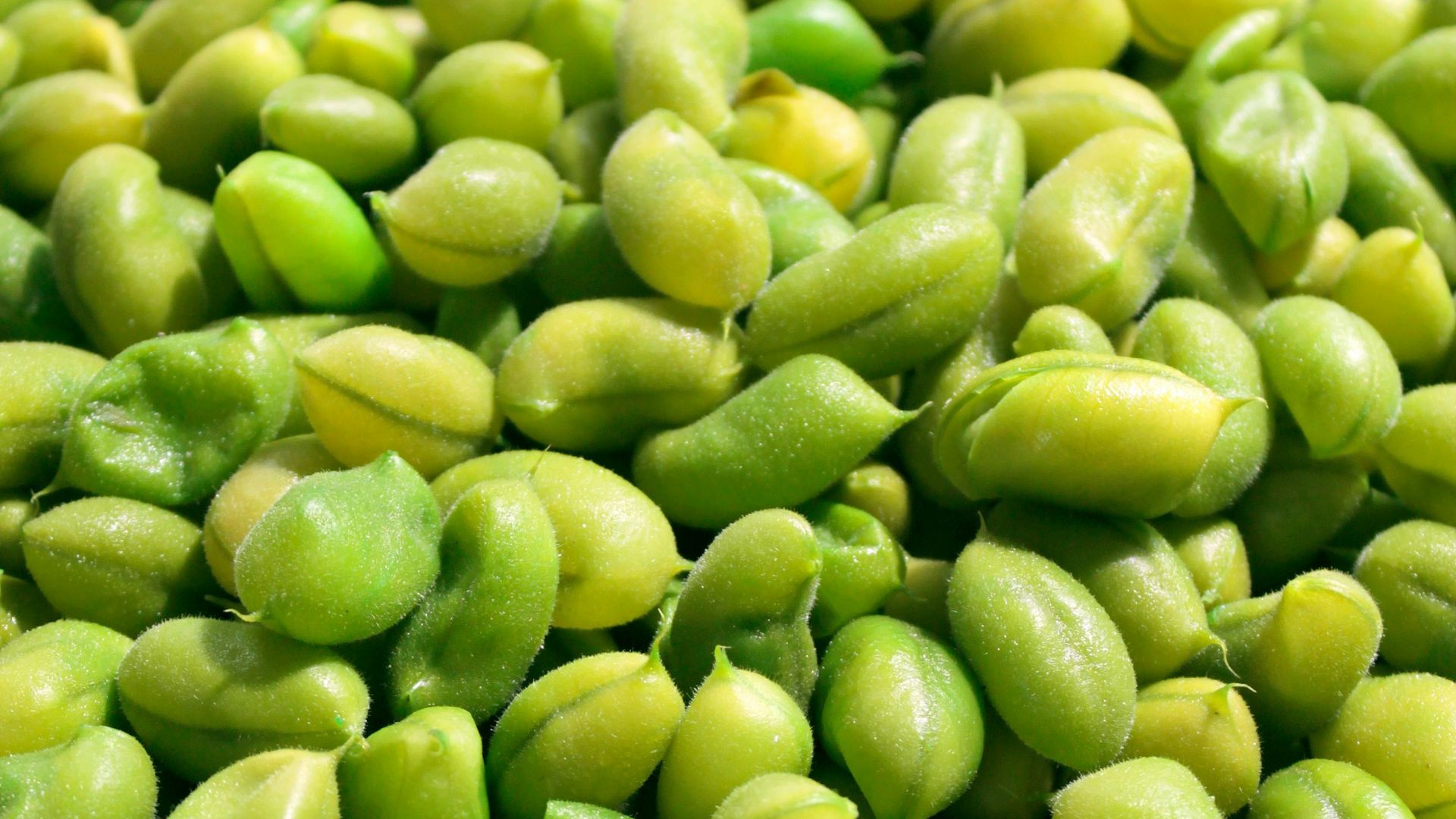 green fruits