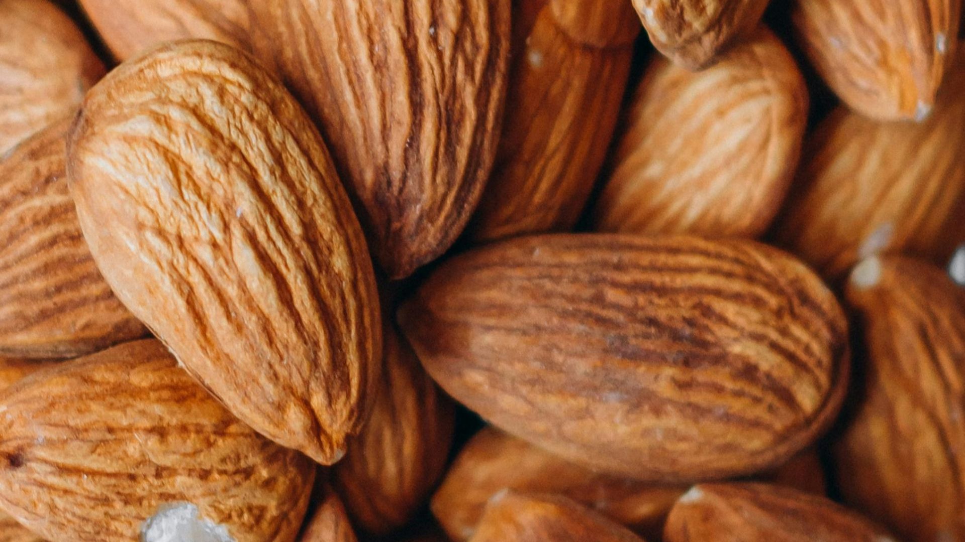 close up photo of brown almond nuts