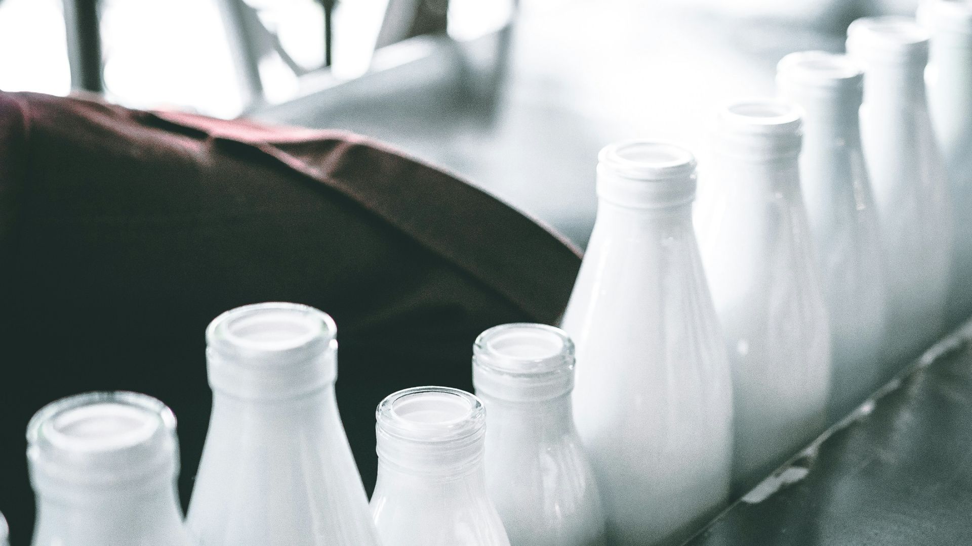 photo of milk bottle lot