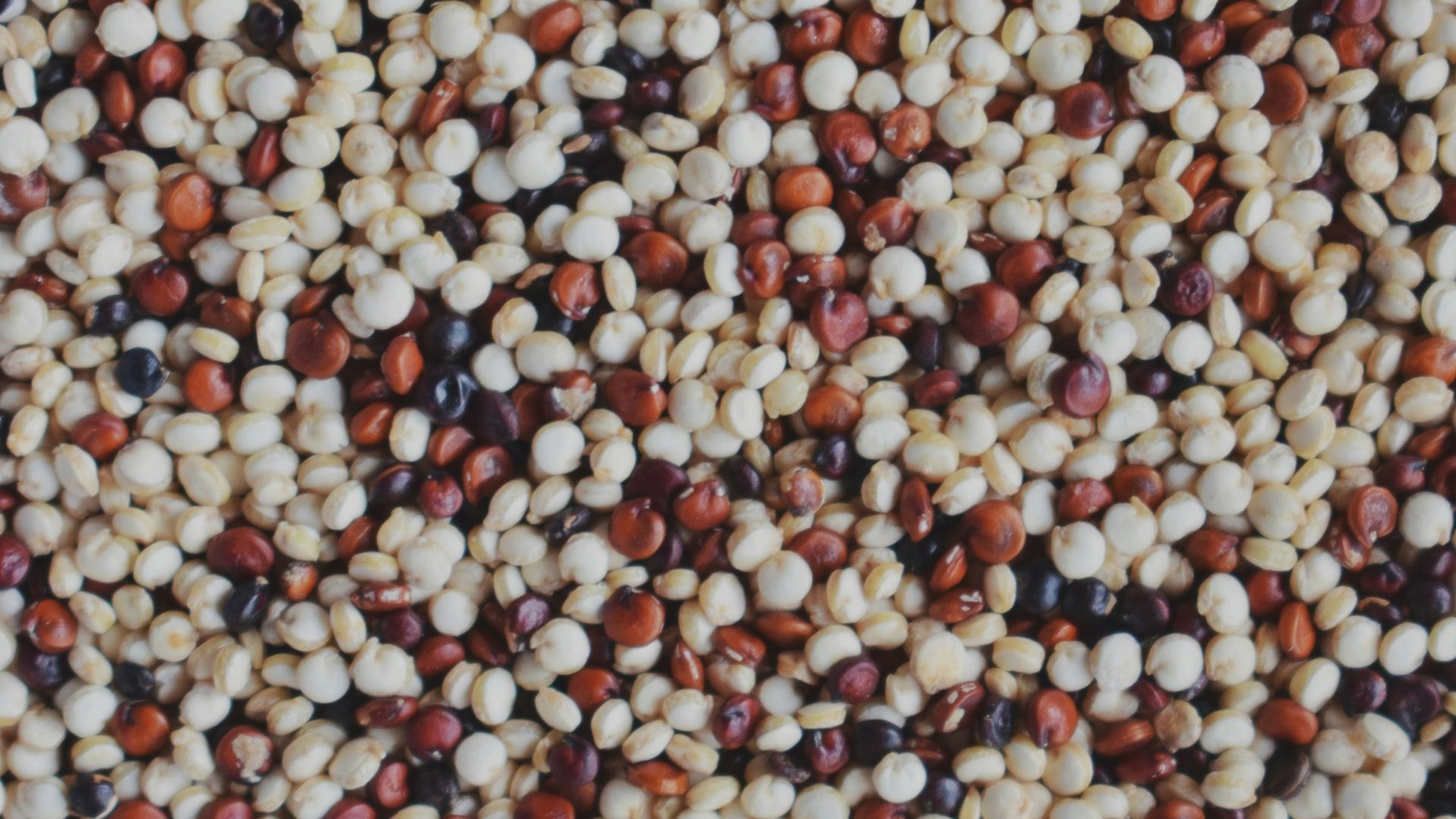 A close up of a bunch of food