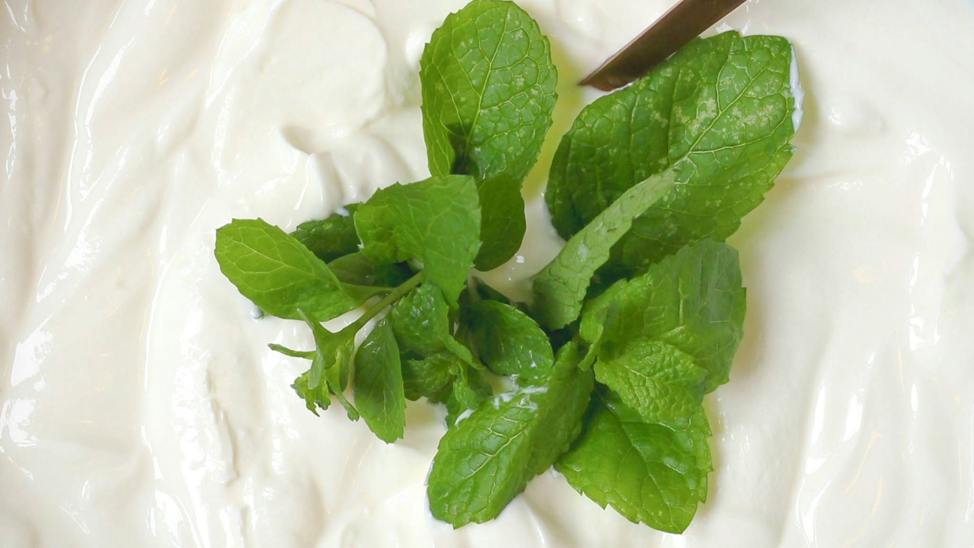 a bowl of yogurt with a spoon in it