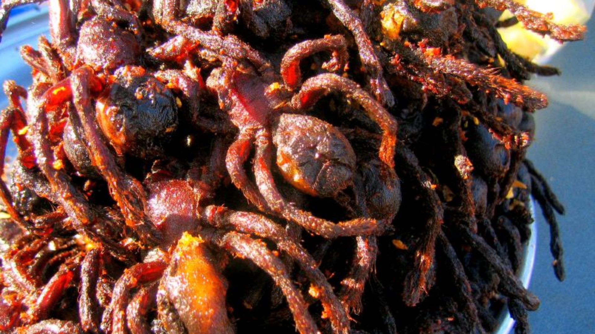 File:Skun spiders closeup.jpg