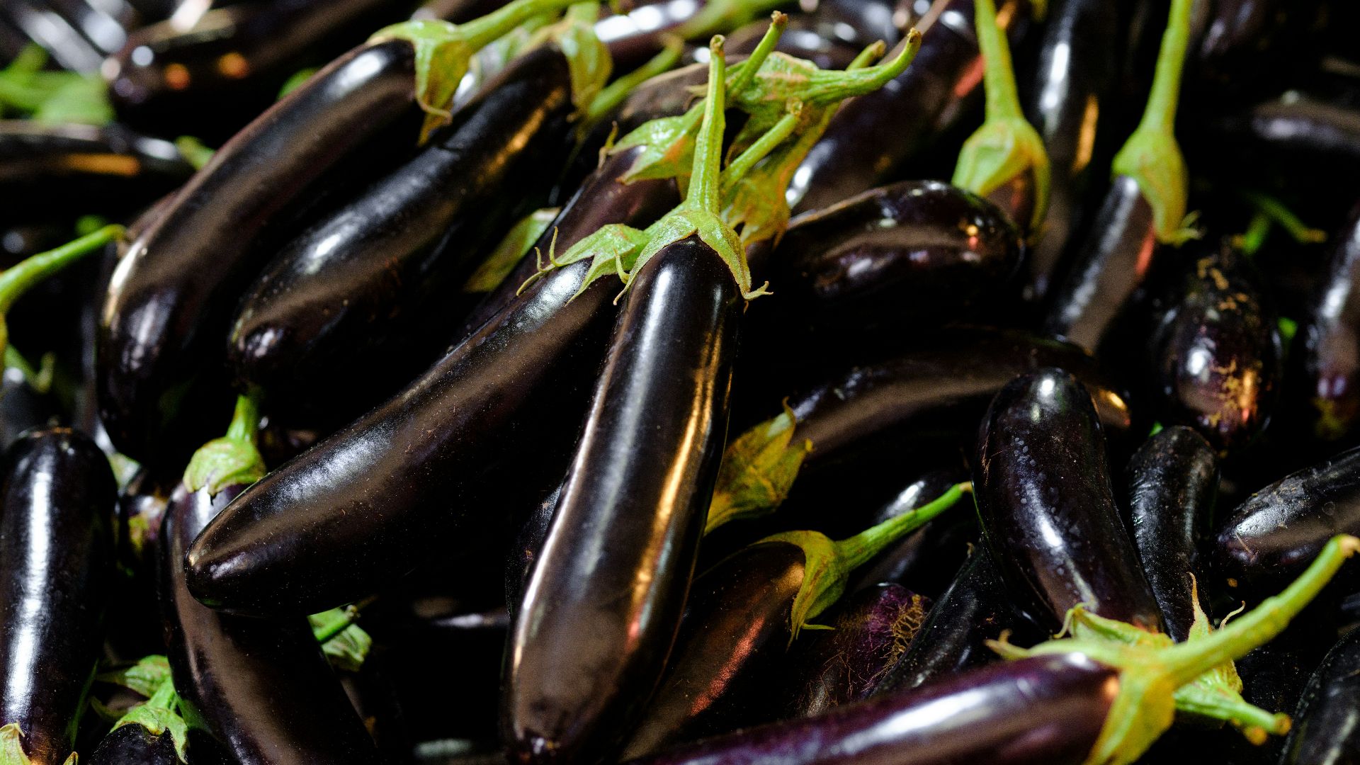a pile of purple eggplant with green stems
