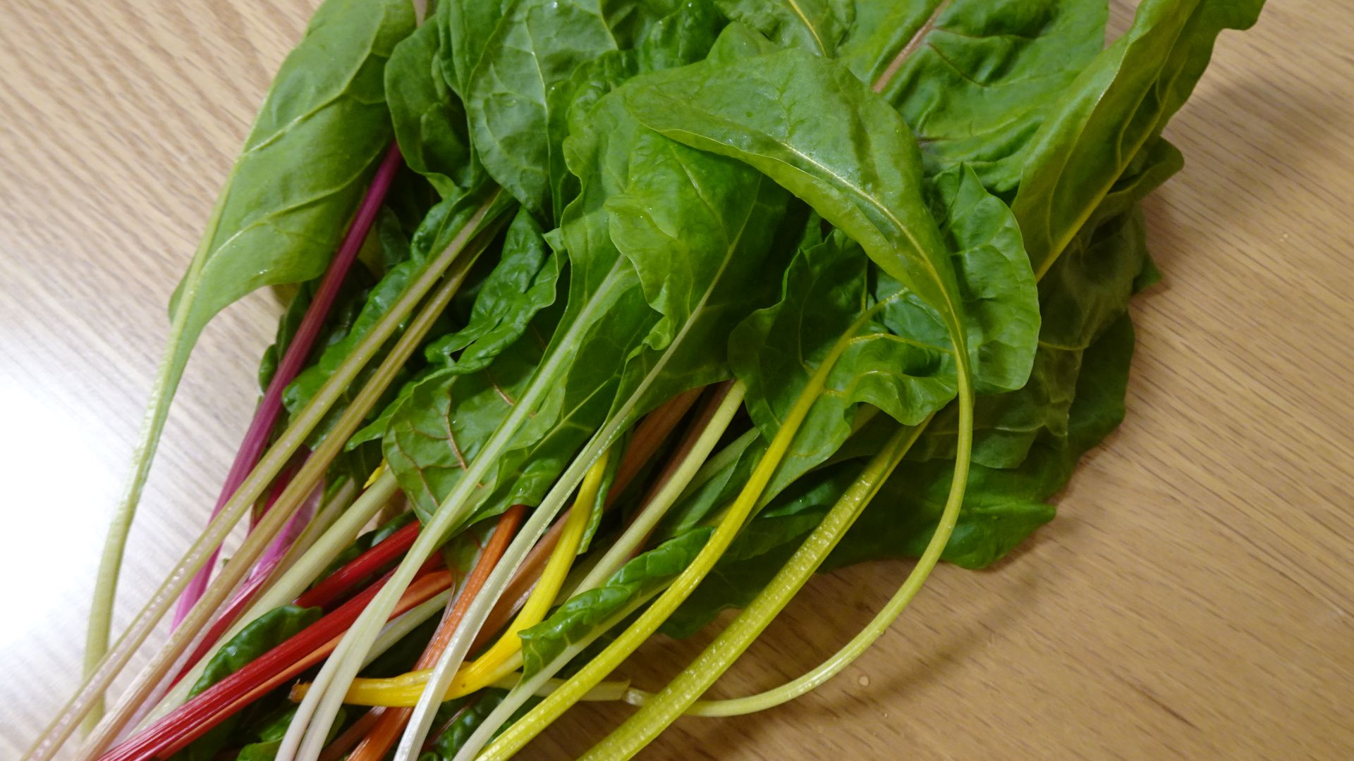 File:Swiss-chard---2024-04-23 04.jpg