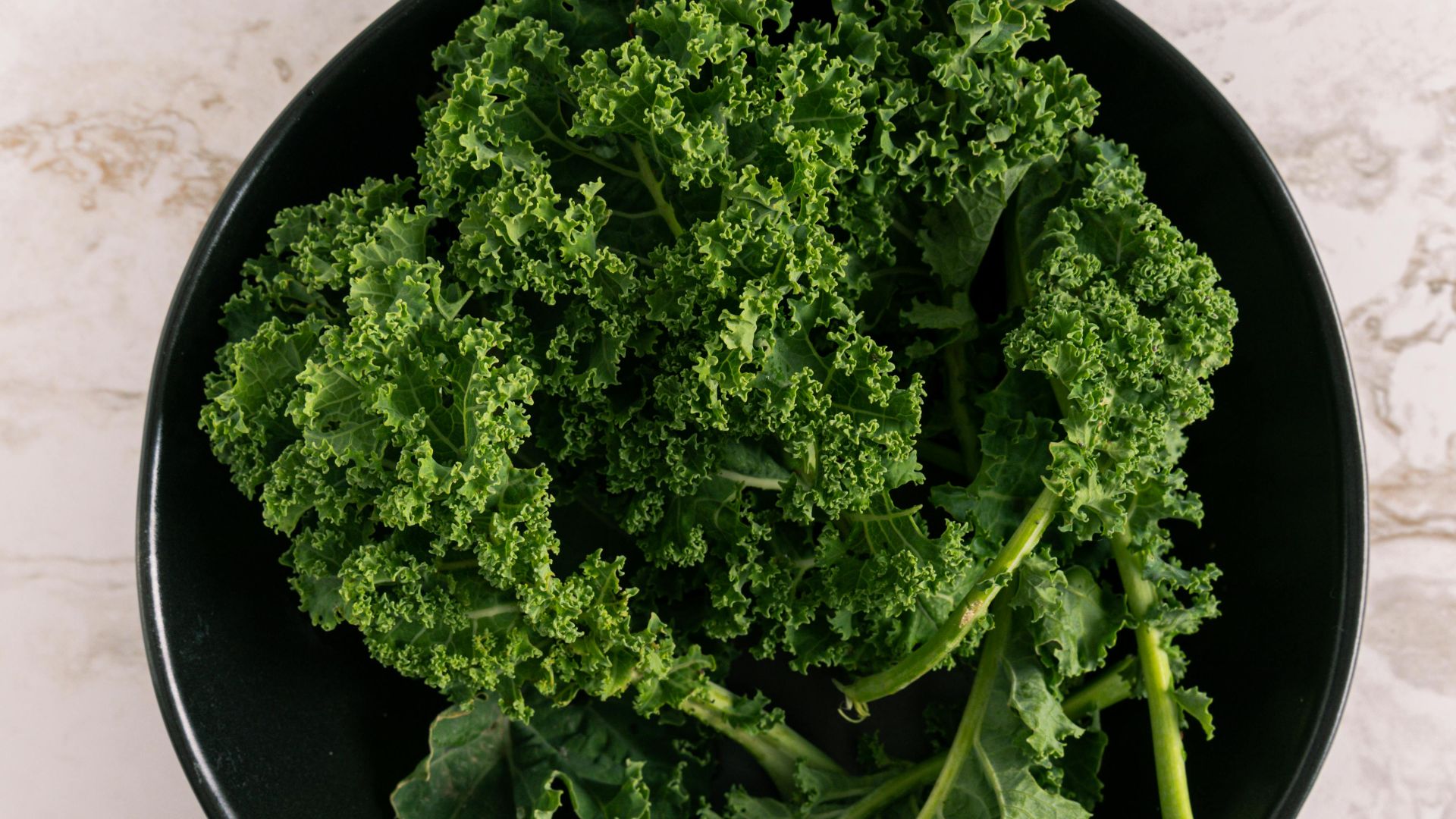 Antoni Shkraba Studio