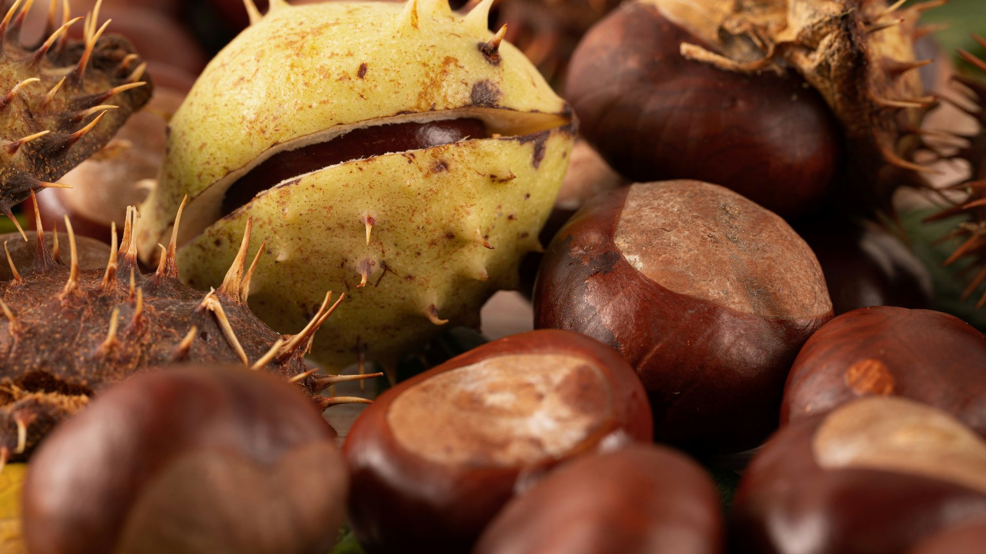 a bunch of nuts sitting on top of each other