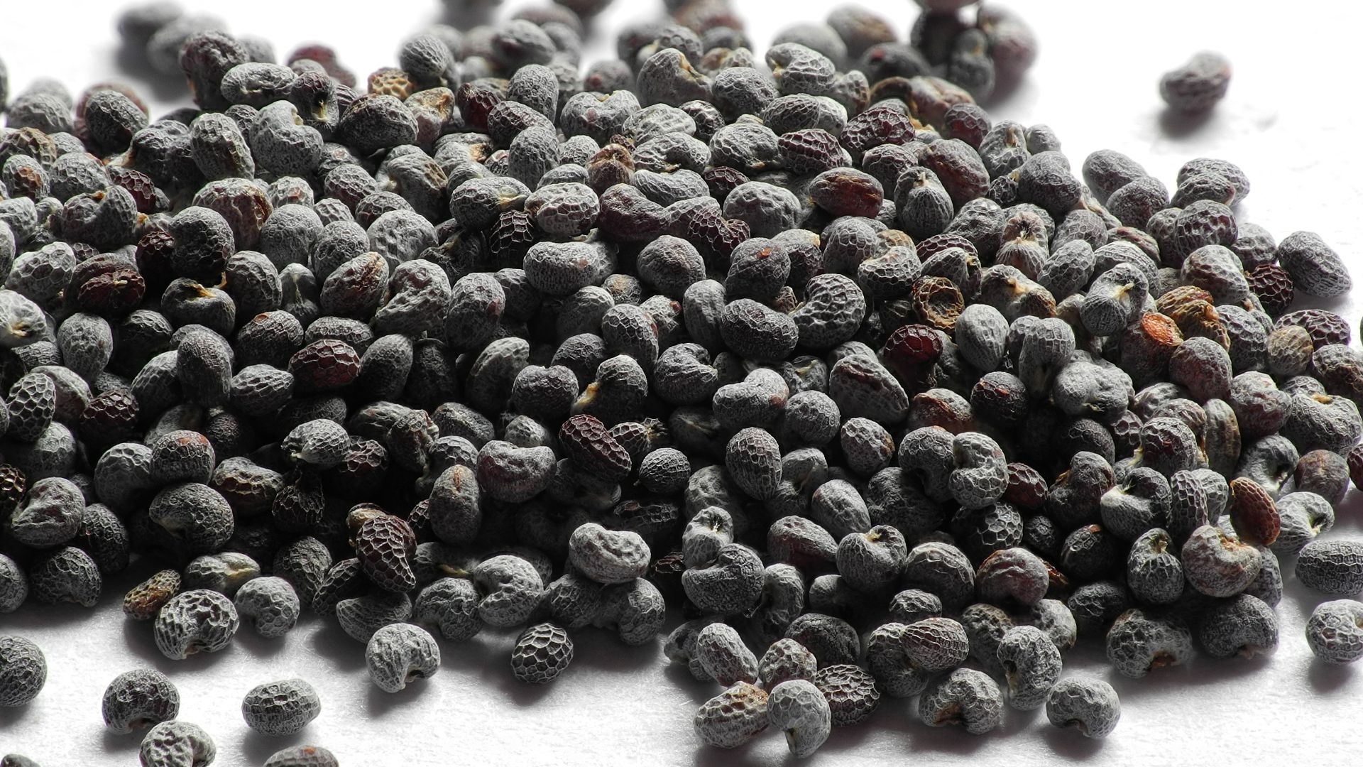 File:Poppy seeds 2.jpg