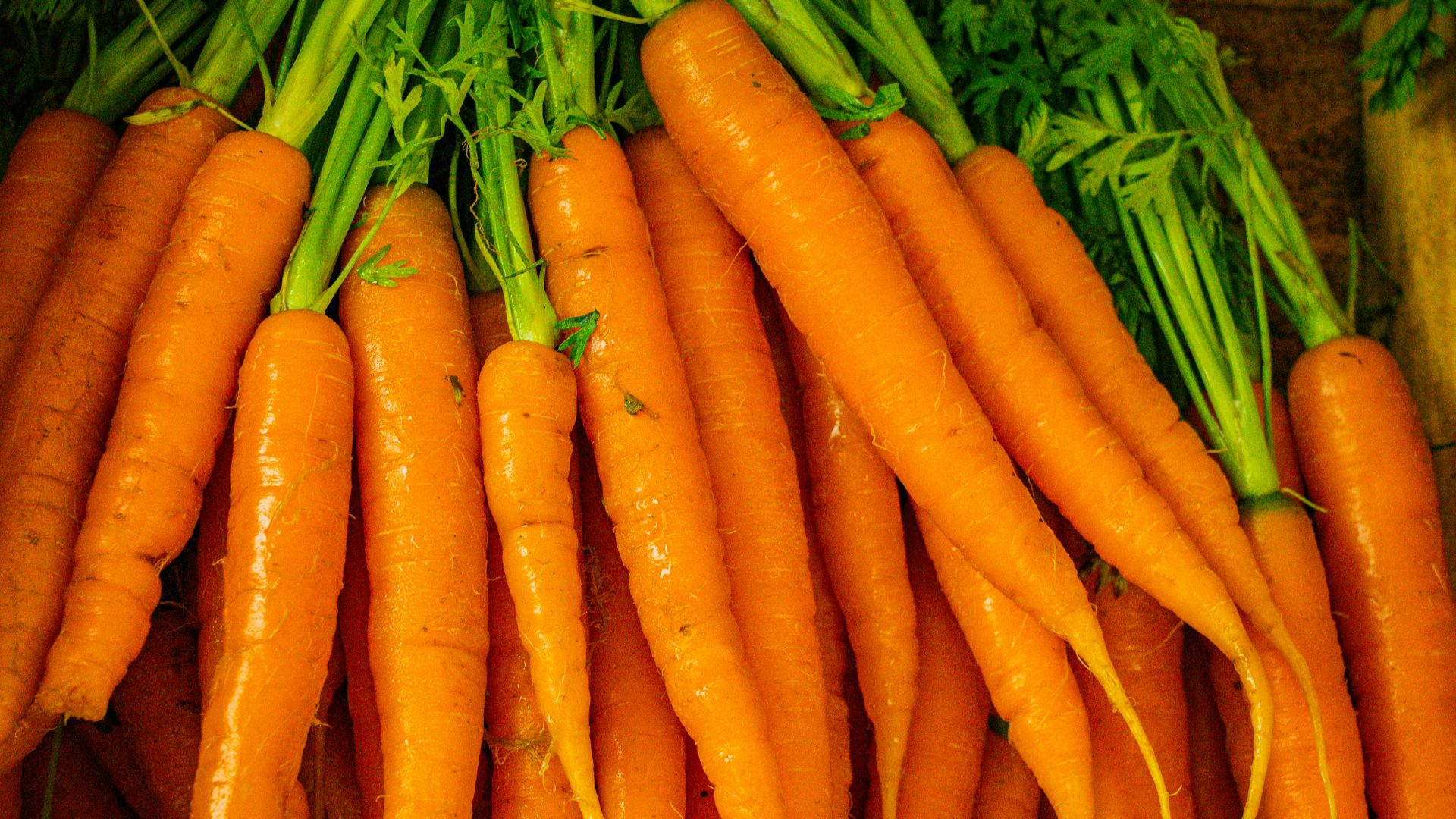 a pile of carrots sitting next to each other