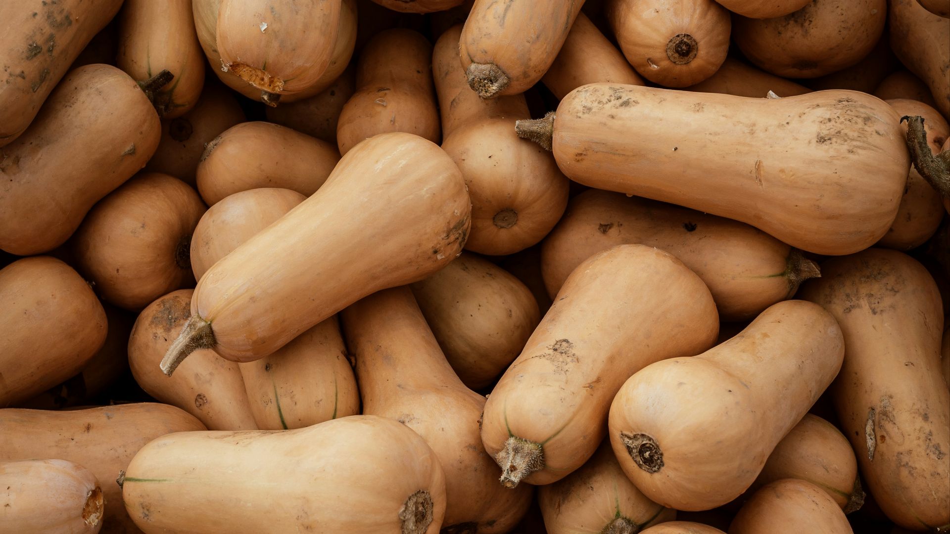 brown oval fruit on brown wooden table