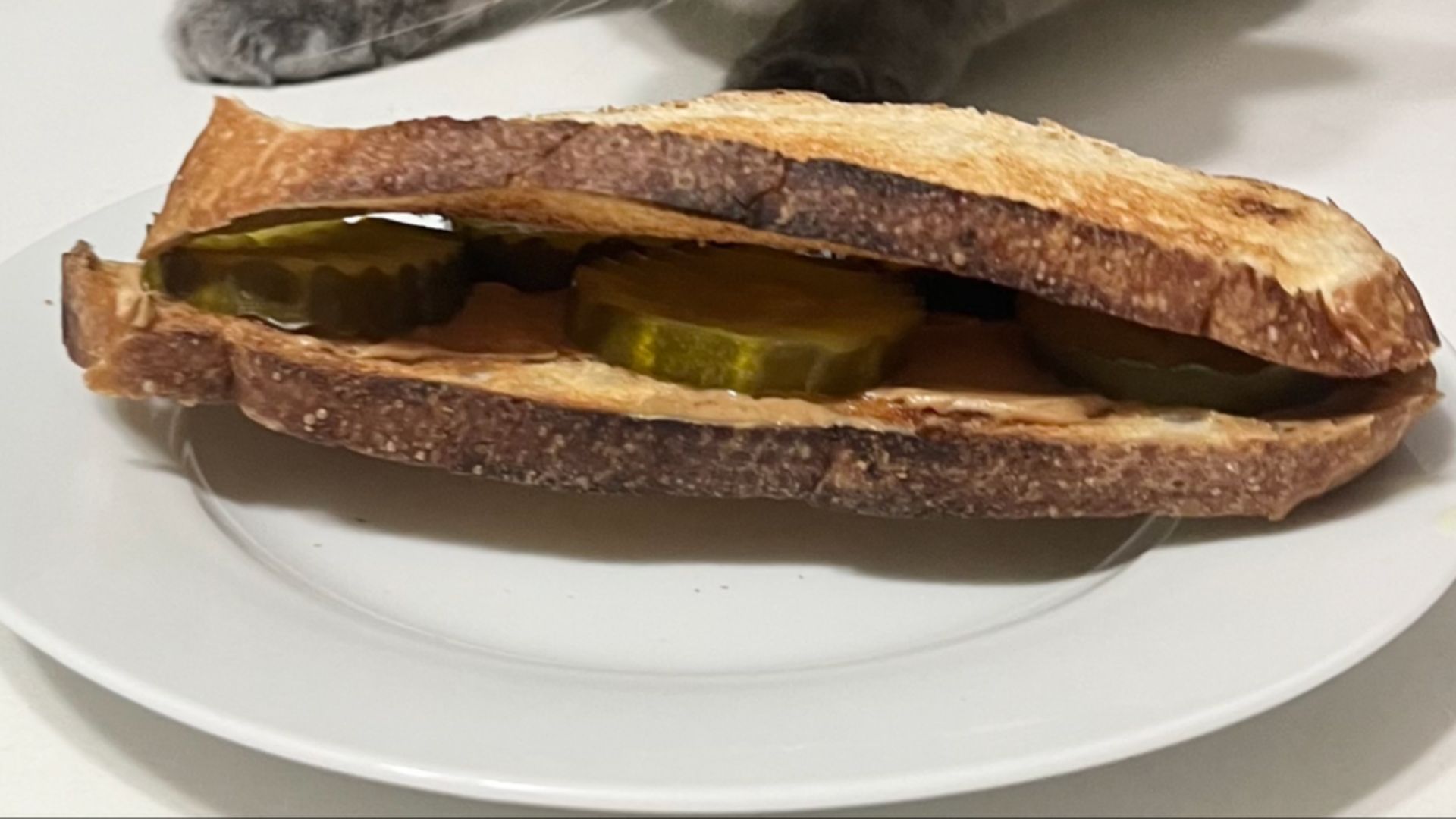 File:Peanut butter pickle sandwich (cropped).png