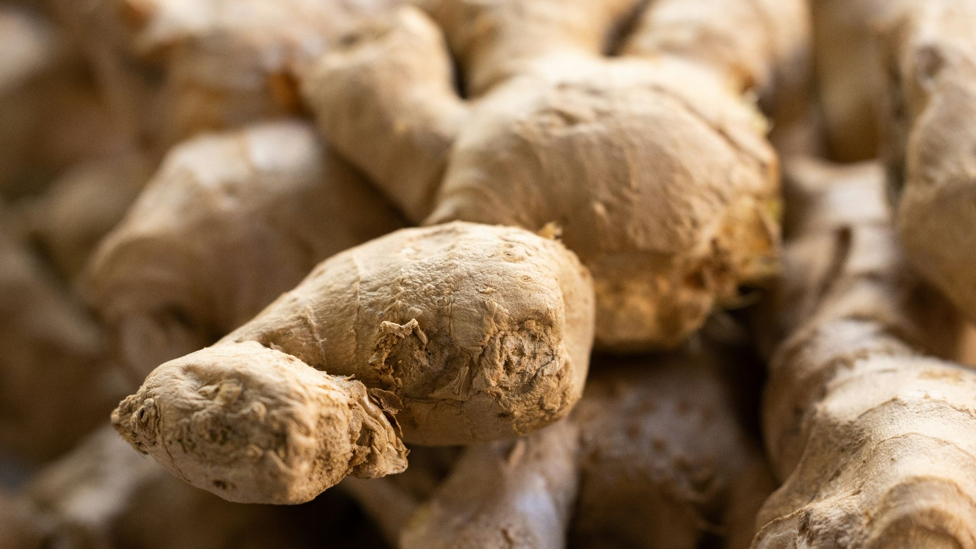 a close up of a bunch of ginger roots