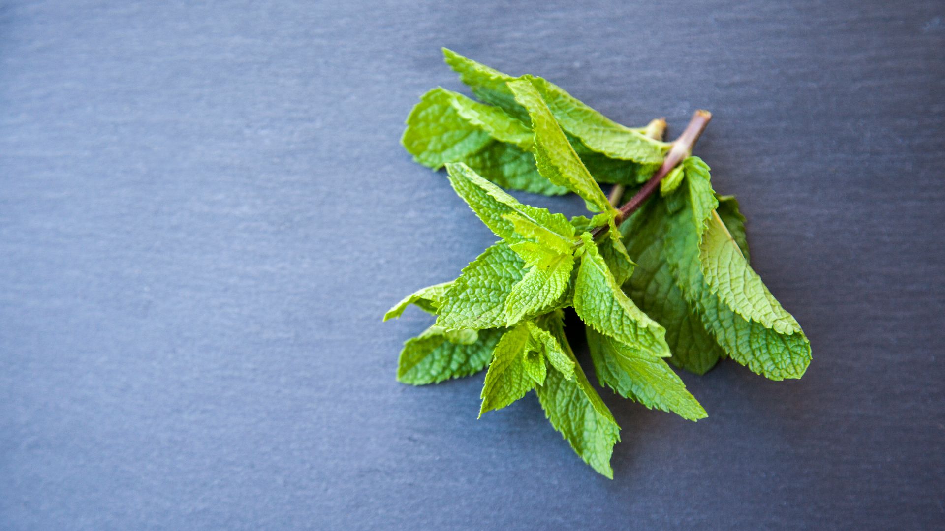 green leaves on gray textile