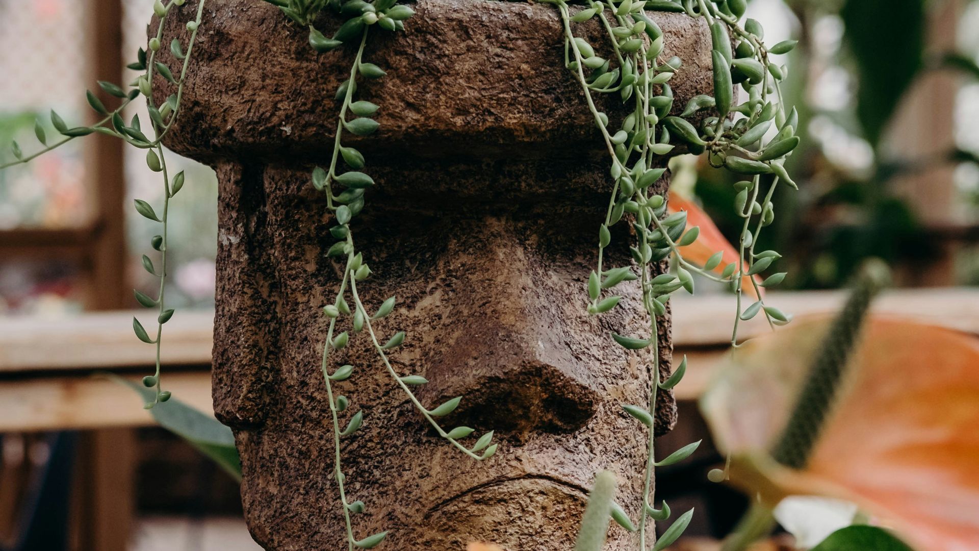 brown wooden tree trunk with orange leaves