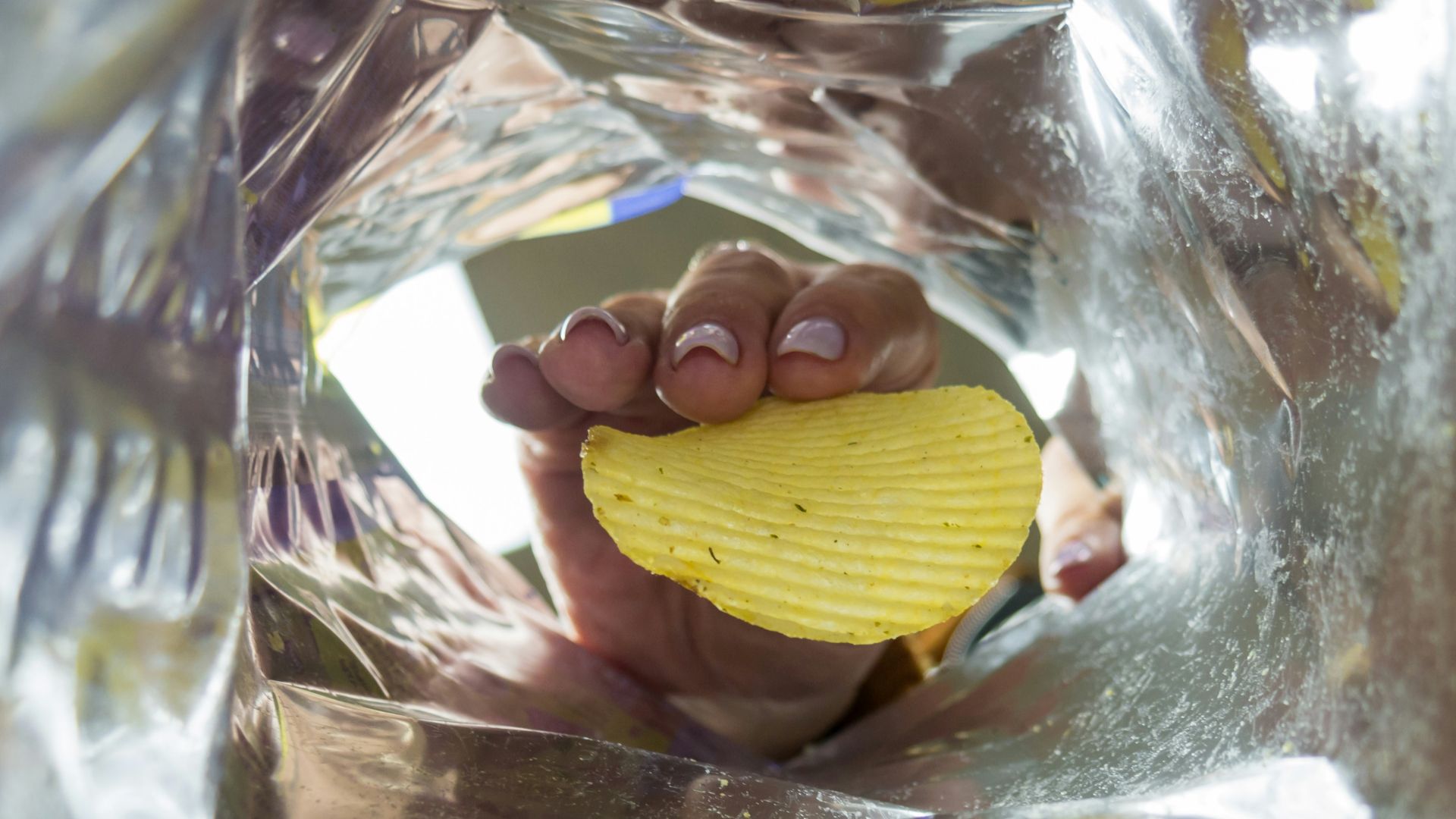 a person holding a piece of food in their hand