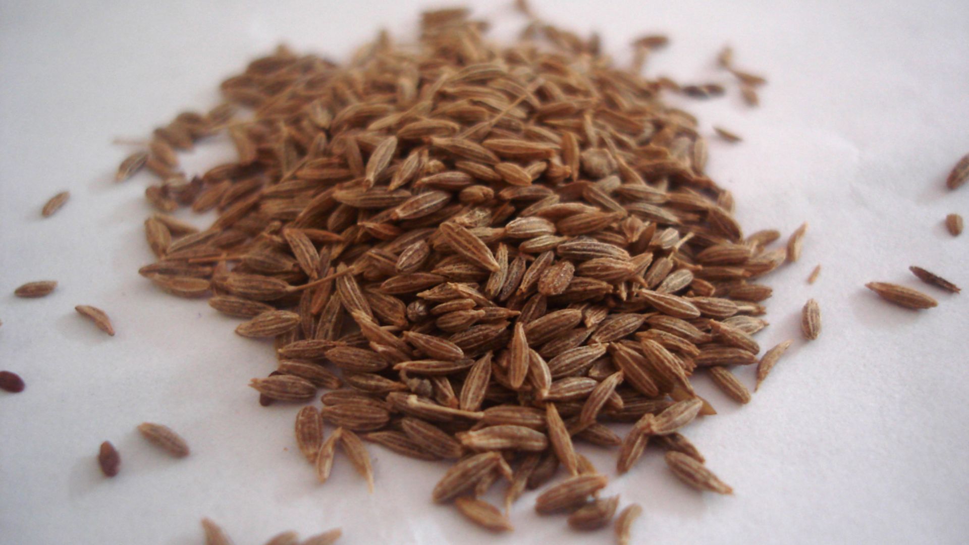 File:Cumin Seeds.jpg