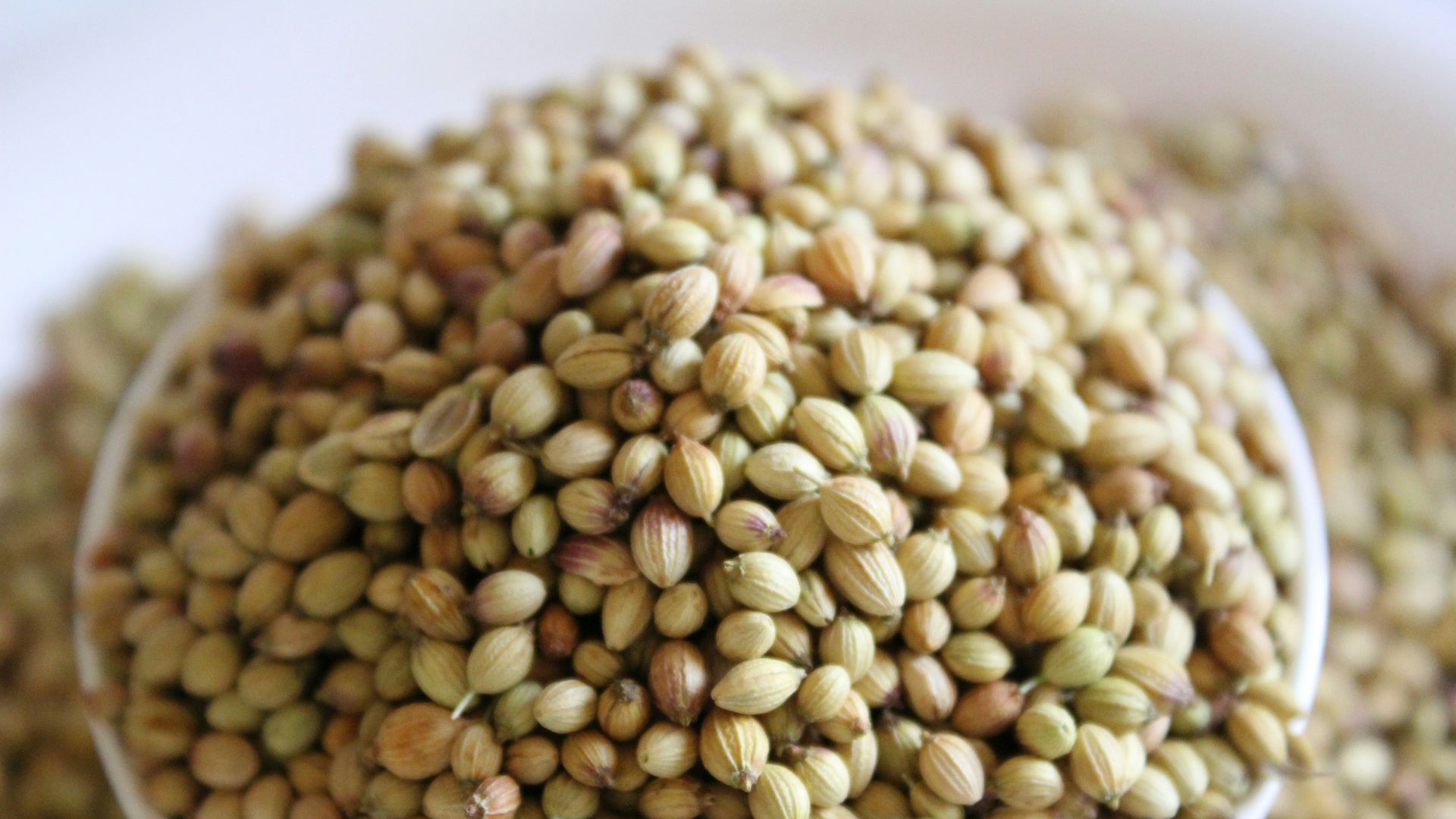 brown and beige beans on white ceramic bowl
