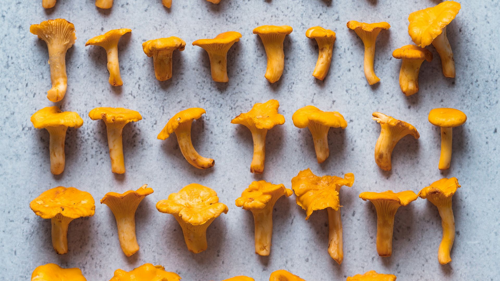 a group of orange mushrooms sitting on top of a table