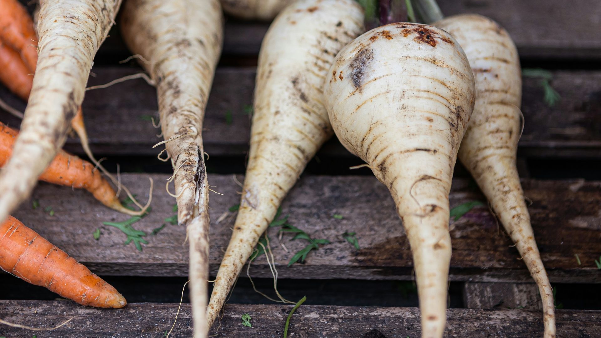 a group of carrots sitting on top of a wooden table