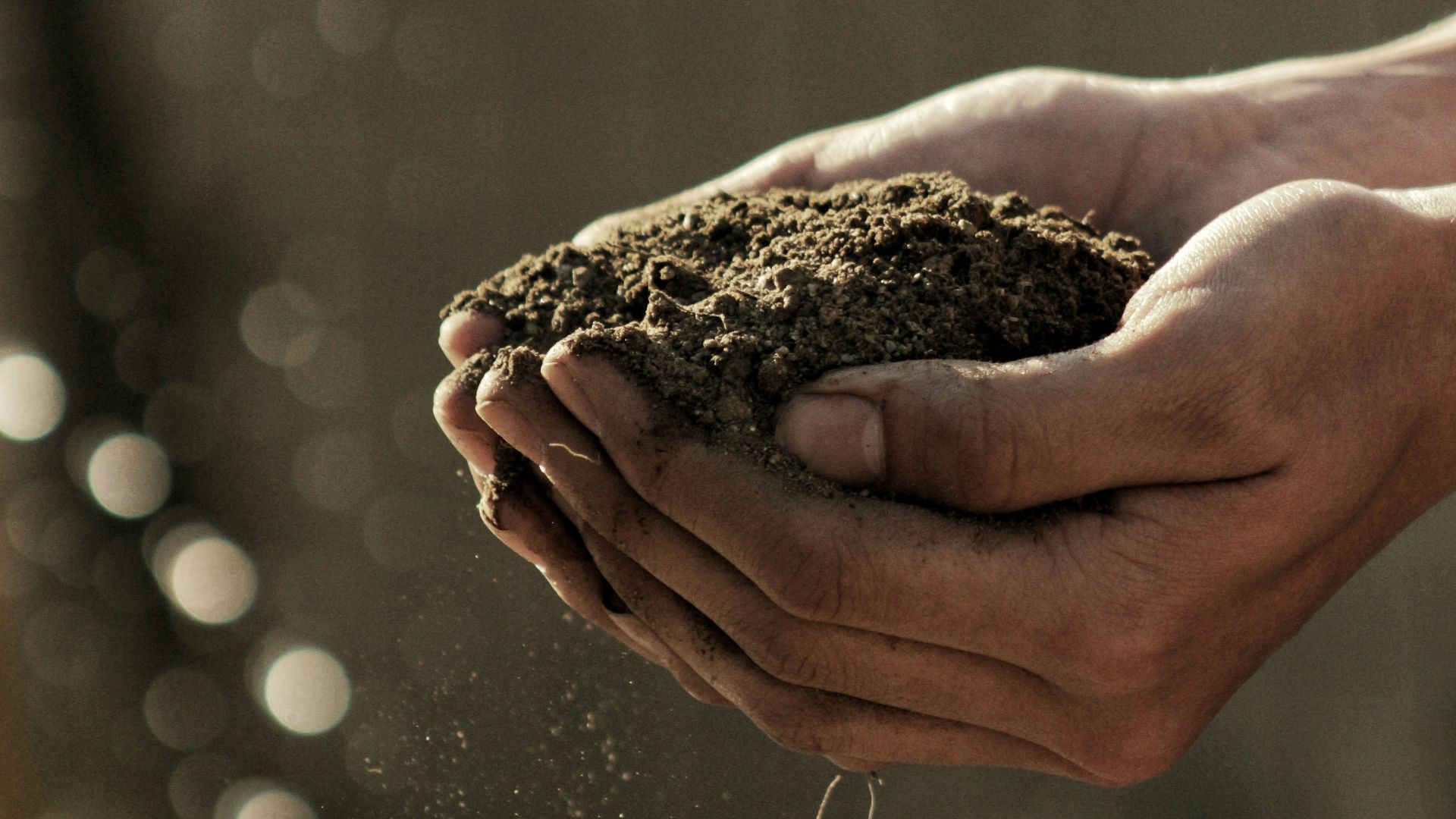 bokeh photography of person carrying soil