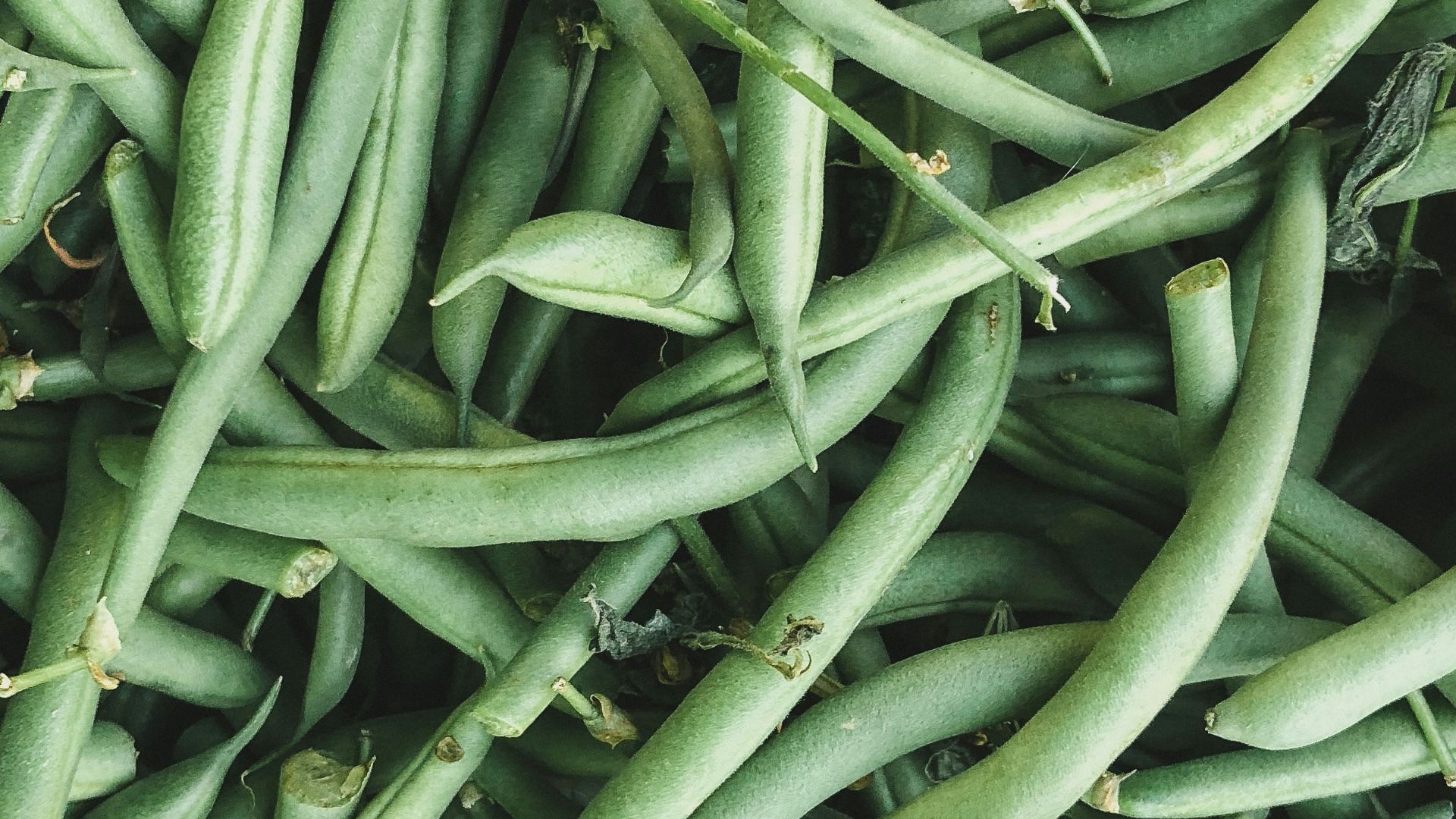 pile of green string beans