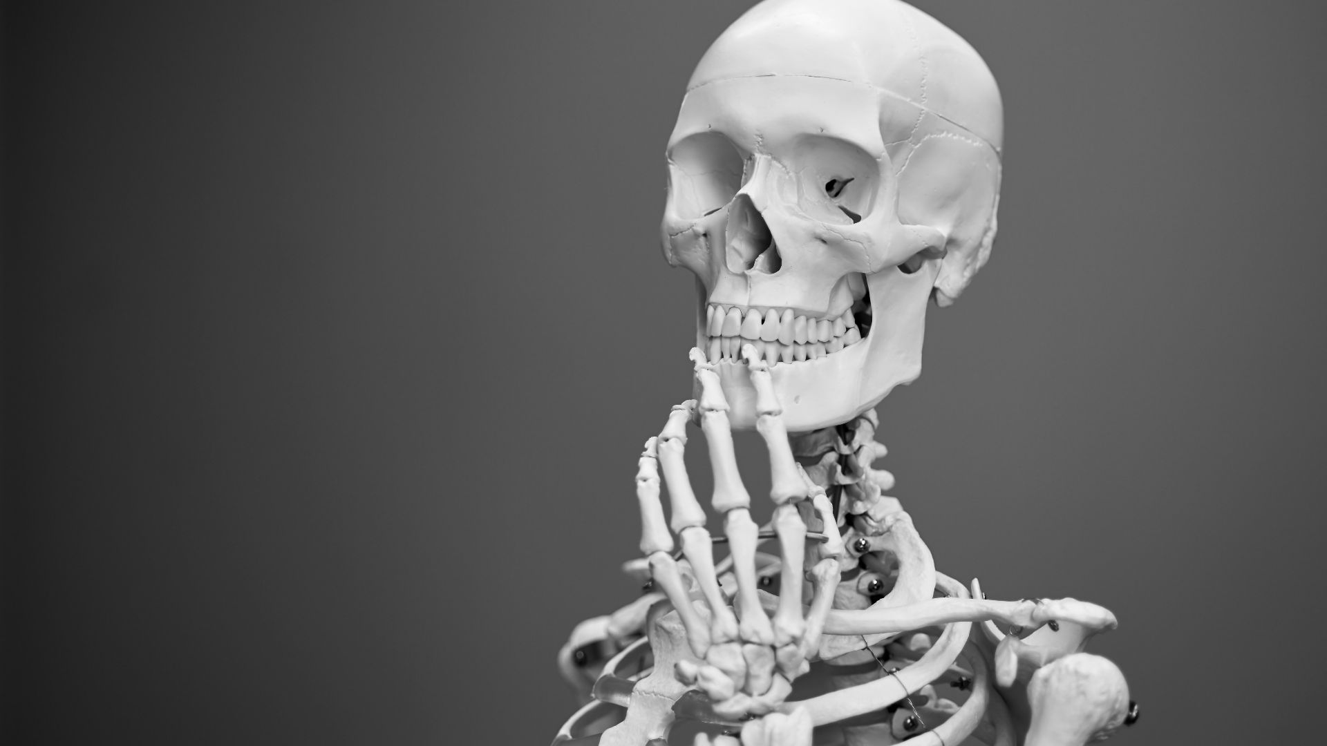 greyscale photography of skeleton