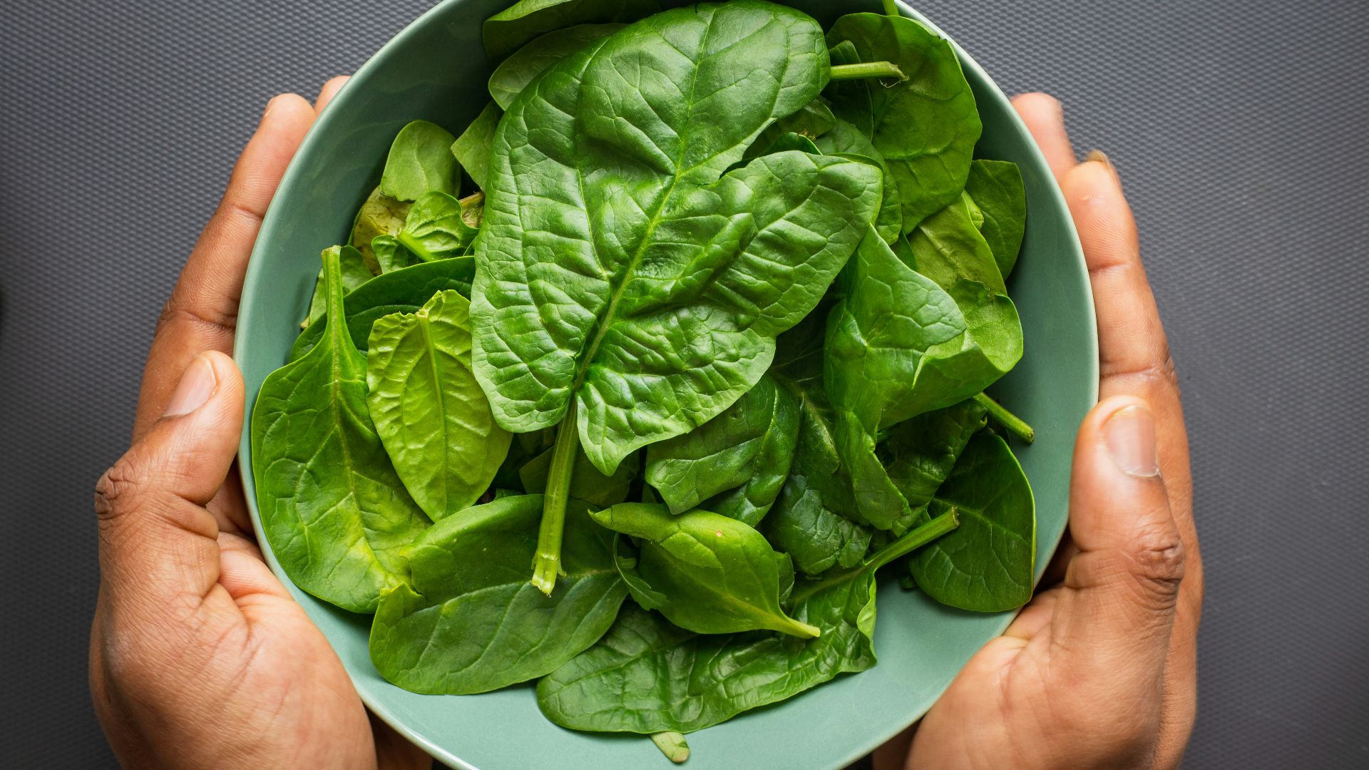 green leaves on blue plastic bowl