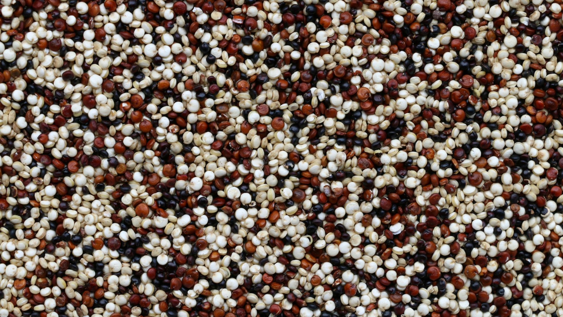 brown and white pebbles on ground