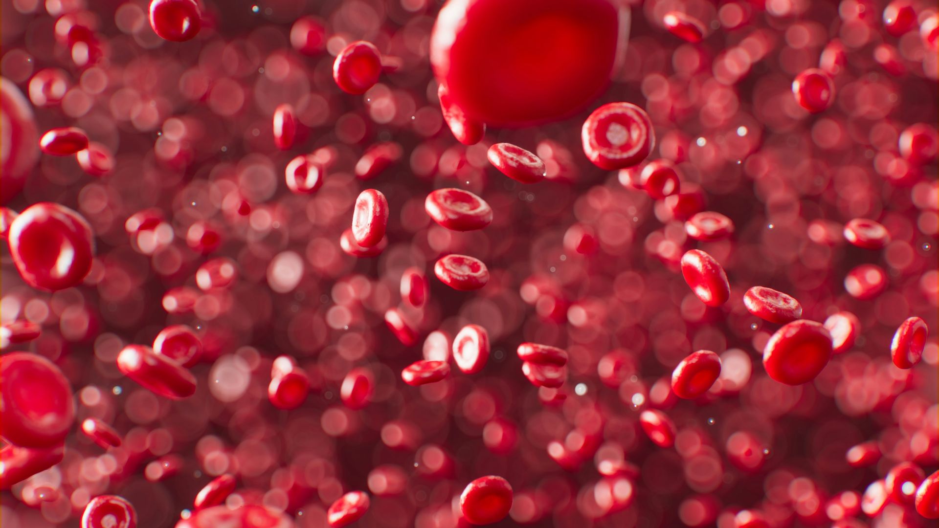 a red liquid filled with lots of bubbles